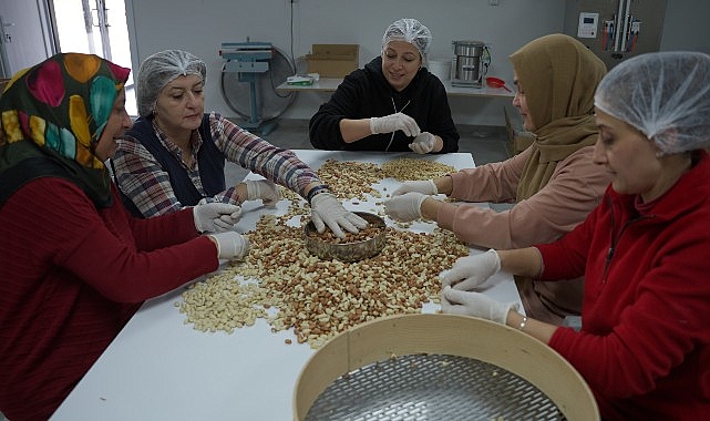 Deprem Bölgesinde Kadın Kooperatiflerinin Umut ve Dayanışma Hikayesi: “Yeniden” Digiturk’te