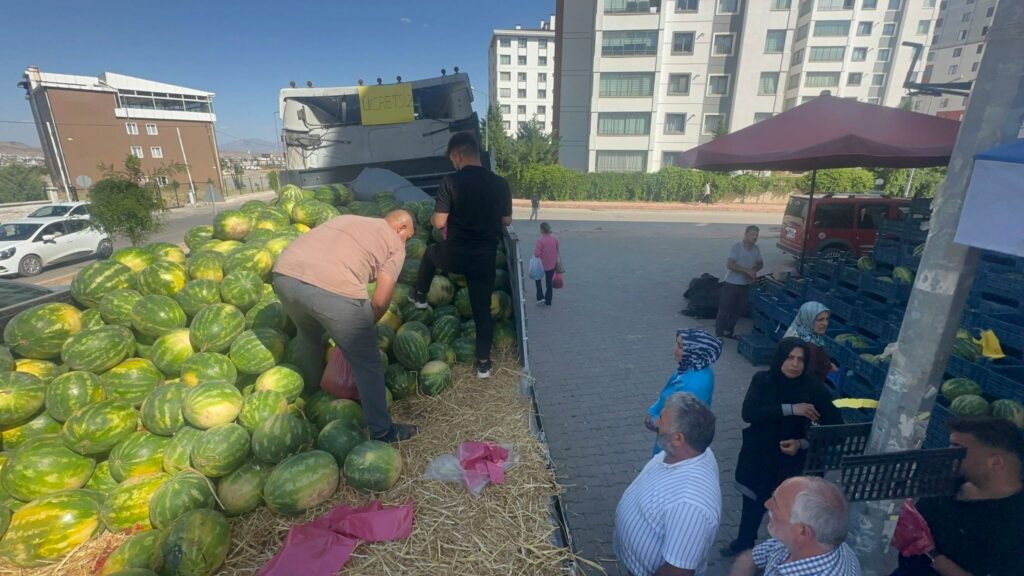 30 Ton Karpuzu Ücretsiz Dağıttı!