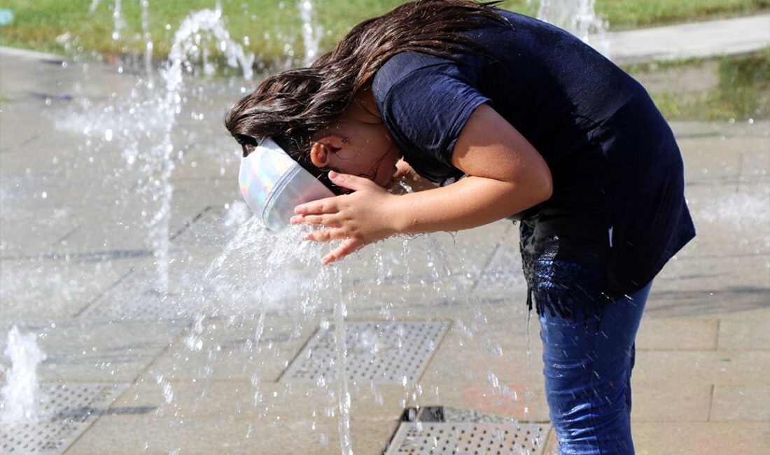 Meteoroloji 13. Bölge Müdürlüğü, Elazığ ve çevresinde hava sıcaklıklarının mevsim