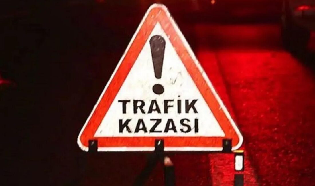 Elazığ-Bingöl karayolunun Koçkale mevkiinde yaşanan trafik kazasında, yolun karşısına geçmeye