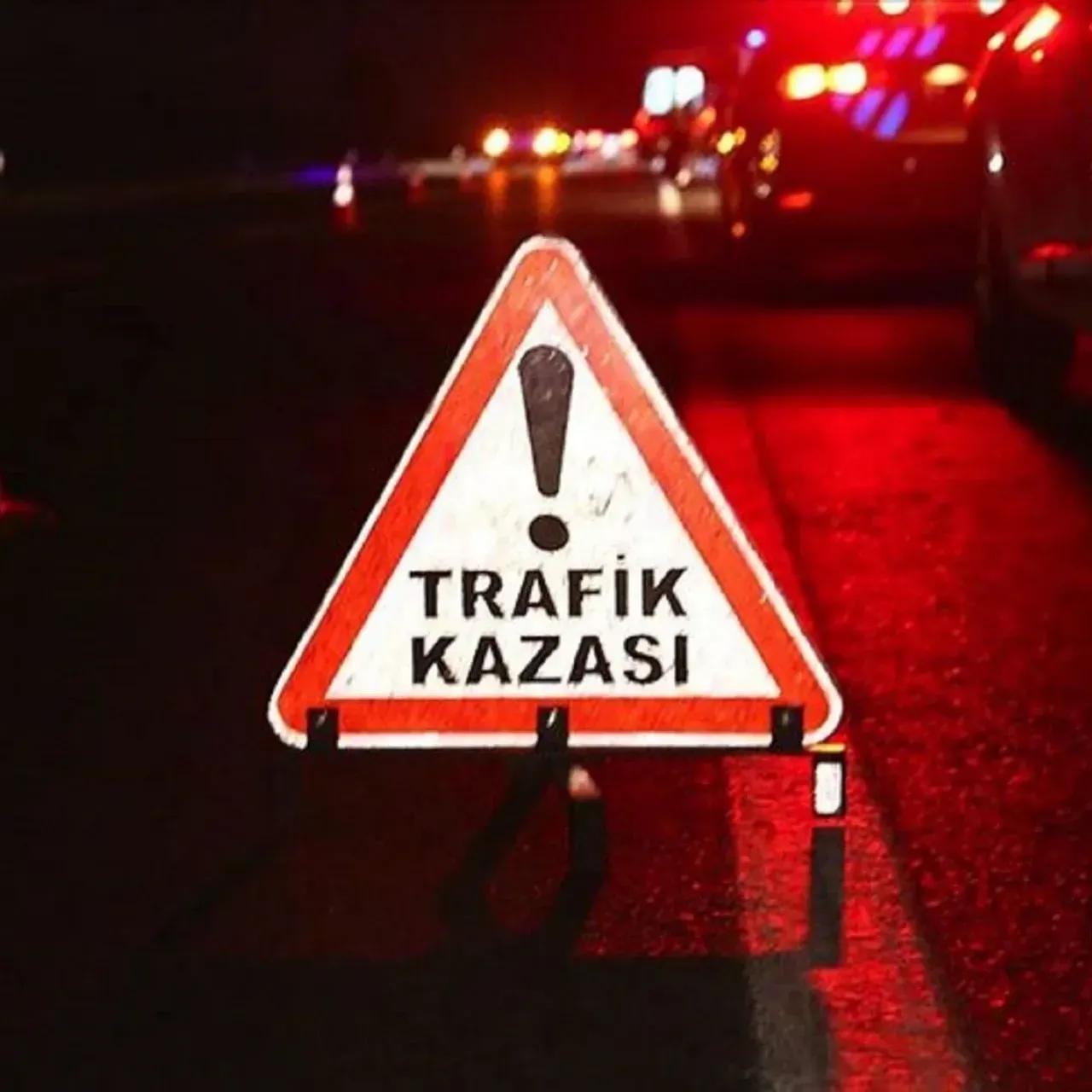 Elazığ-Bingöl karayolunun Koçkale mevkiinde yaşanan trafik kazasında, yolun karşısına geçmeye