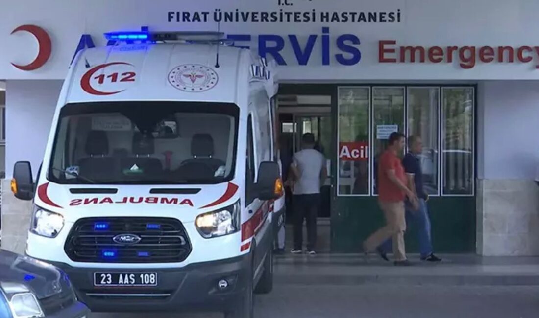 Elazığ’da kaçan eşeğin yuları boynuna dolanan ve 800 metre sürüklenen