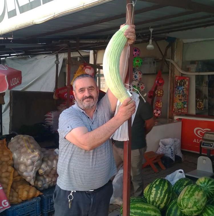 Elazığ’ın Baskil ilçesinde bir çiftçinin yetiştirdiği yaklaşık 2,5 kilo ağırlığındaki