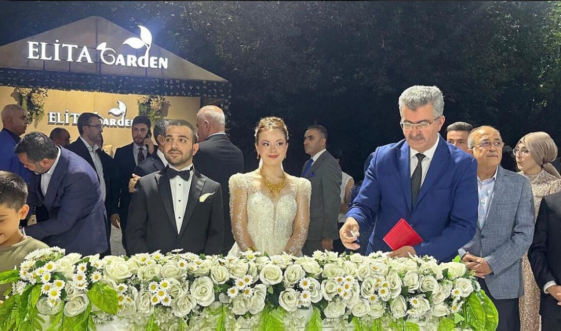 Düğün törenine bakan yardımcıları, milletvekilleri, belediye başkanları, oda başkanları, sivil