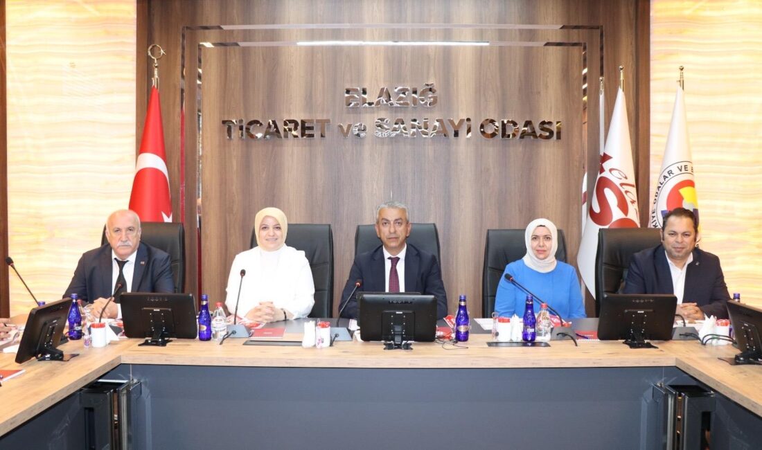Akparti Yerel Yönetimler başkan yardımcısı Ayşe Sula Köseoğlu, Elazığ Ticaret
