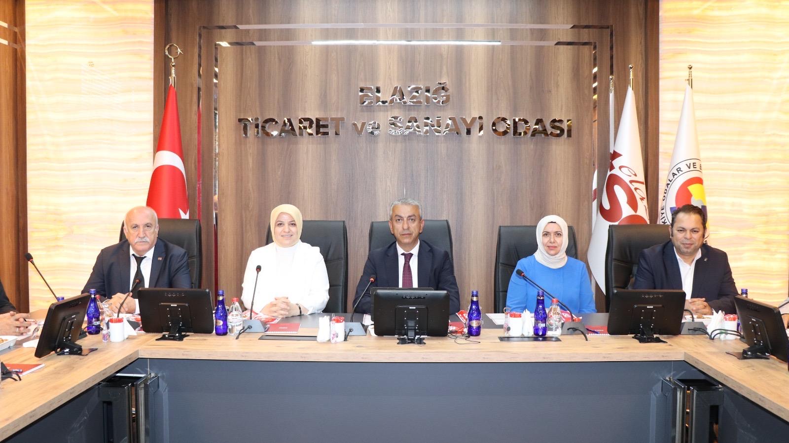 Akparti Yerel Yönetimler başkan yardımcısı Ayşe Sula Köseoğlu, Elazığ Ticaret