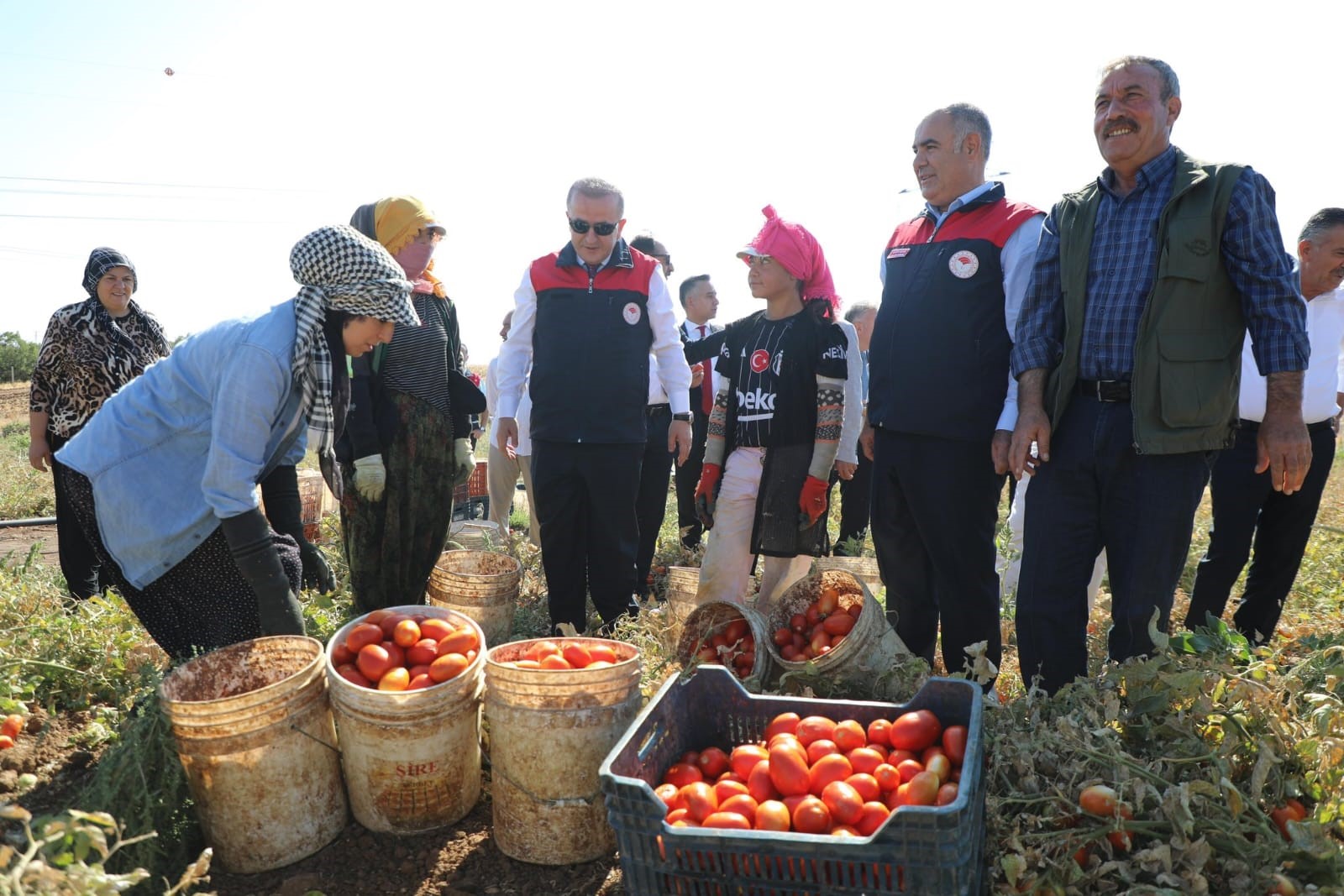 Elazığ Valisi Numan Hatipoğlu, Şahaplı köyünde çiftçileri ziyaret ederek, domates