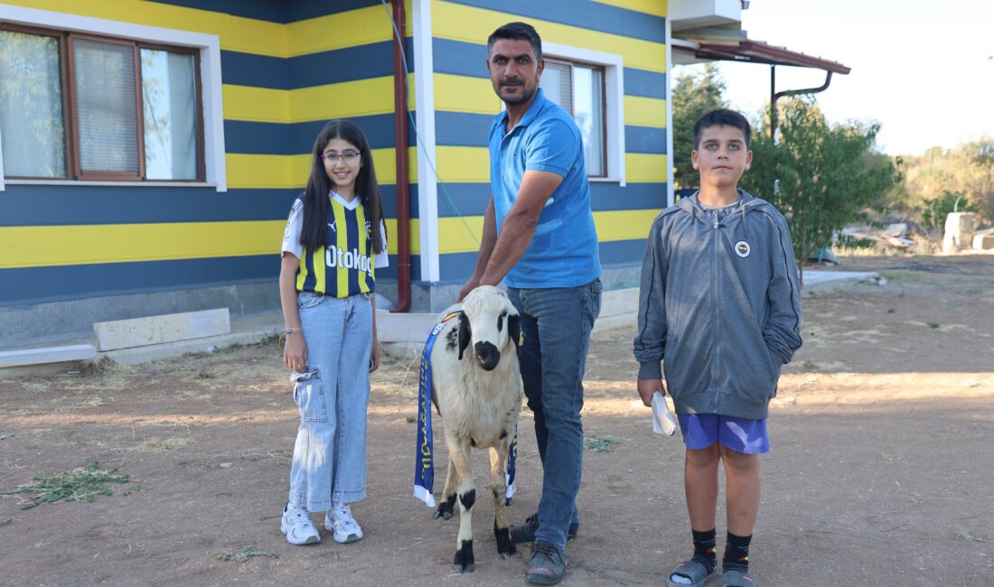 Fenerbahçe’nin makus tarihi değişsin diye, adadıkları hayvanı kestiler Elazığ’da yaşayan